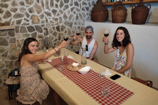 Krka National Park Tour with tour Guide & Wine tasting from Split & Trogir - Pacing and Physical Demands