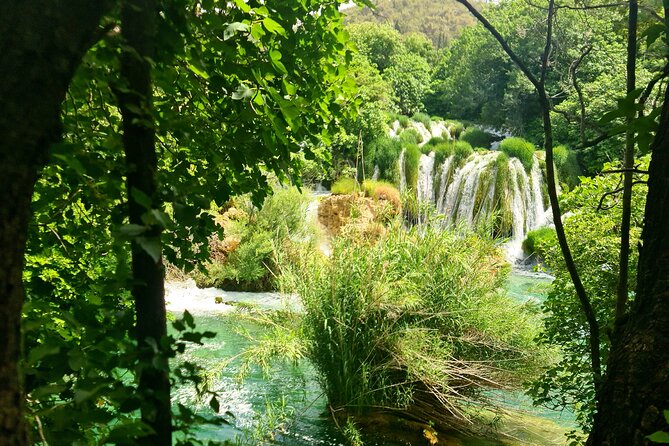 Krka waterfalls private tour - Guide Expertise and Driver Skill