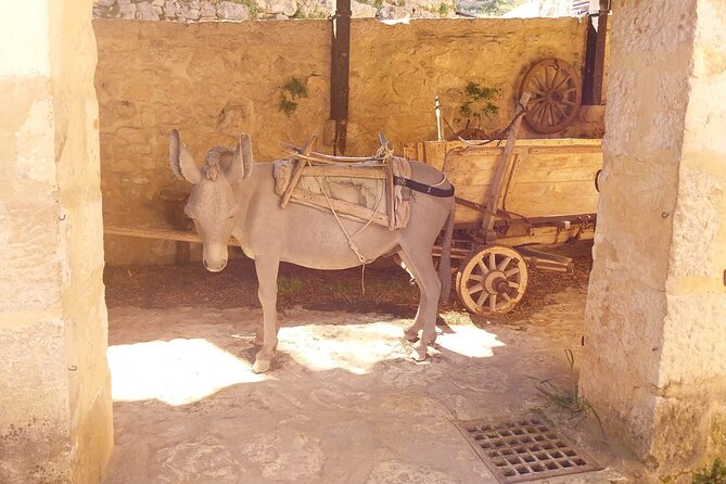 Krka Waterfalls & Skradin AFTERNOON Tour - TICKET INCLUDED - Practicalities and Cancellation Policy