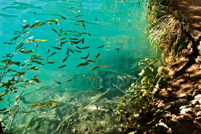 Krka Waterfalls Tour - Trip from Split with Boat & Swimming - Optional Park Entrance and Food Costs