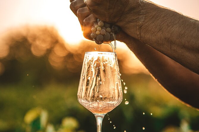 Krka Waterfalls & Wine and Cheese Tasting Tour from Split - Wine and Cheese Tasting Experience