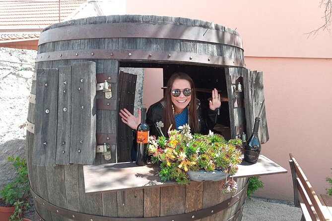 Krka Waterfalls & Wine and Cheese Tasting Tour from Split - Tour Highlights and Practical Notes