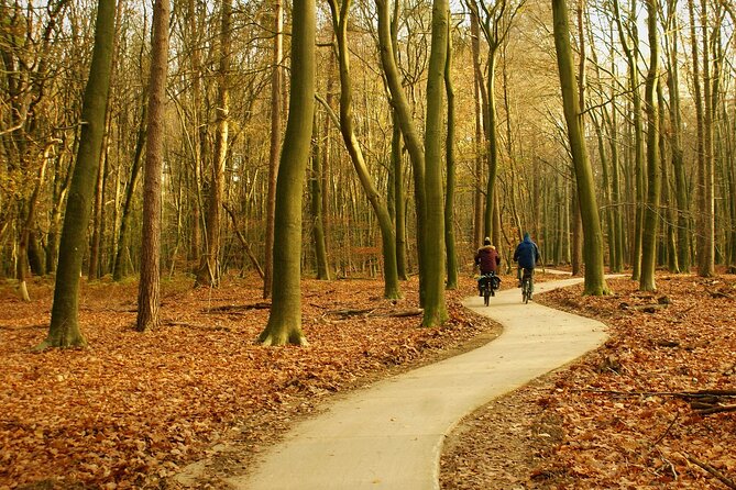 Kröller Müller Museum and Veluwe National Park Private tour - Key Points