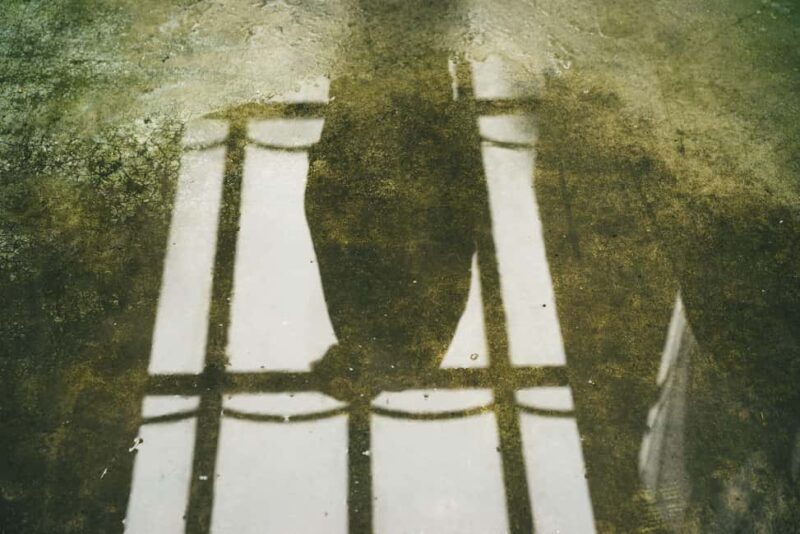 Kröller-Müller Museum: Half-Day Guided Tour from Amsterdam - Key Points