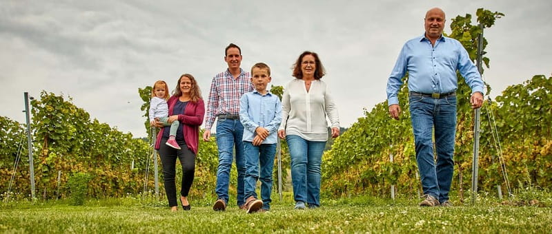 Kröv/Gut Hermes: Make your own sparkling wine  sparkling wine tasting experience - Key Points