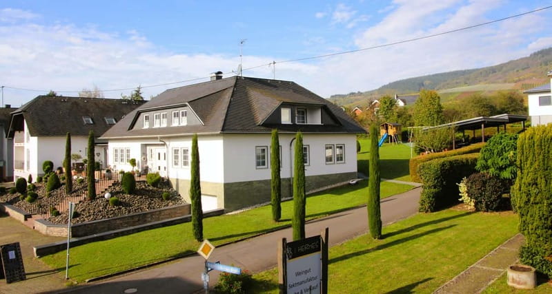 Kröv/Gut Hermes: Wine tour & tasting through the vineyard, winery, & sparkling wine factory - Behind the Scenes in the Sparkling Wine Factory