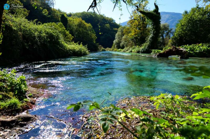 Ksamil: Blue Eye, Lekursi Castle, & Butrint Tour - The Experience of the Guide and Group Atmosphere