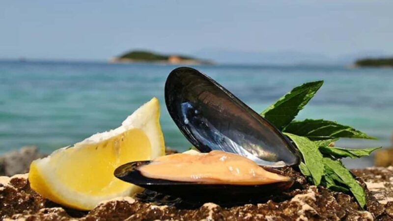 Ksamil Sailing & Mussel Tasting Experience - Explore the Authentic Ksamil Sailing & Mussel Tasting Tour