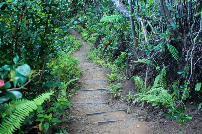 Kualoa Ranch: Jungle Expedition Tour - Practical Details and Logistics