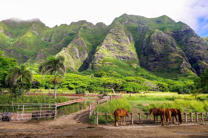 Kualoa Ranch Jurassic Adventure Tour - Exciting Jurassic Film Locations in Oahu