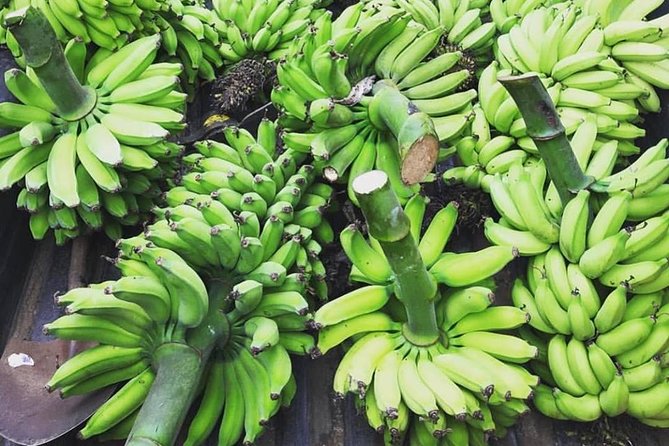 Kualoa Ranch - Kualoa Grown Tour - The Polynesian Canoe Ride to the Fishpond
