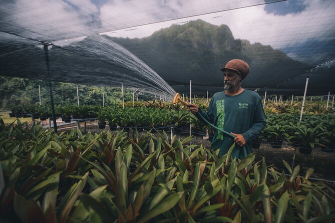 Kualoa Ranch - Kualoa Grown Tour - Practicalities: Accessibility and Additional Info