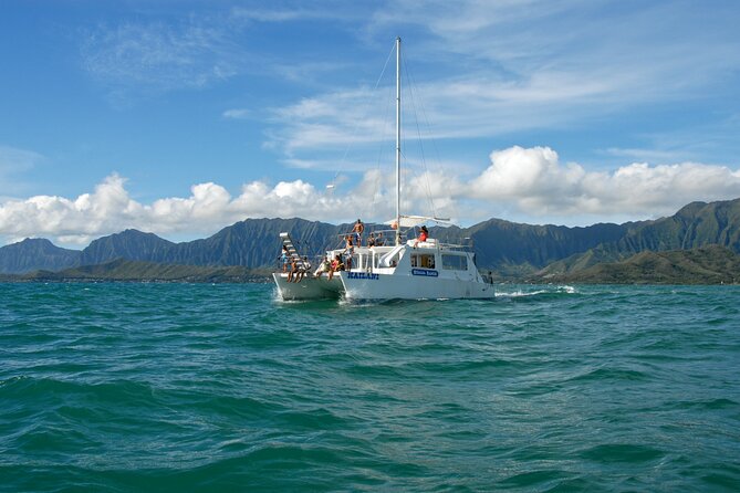 Kualoa Ranch: Ocean Voyage Tour - Viewing Deck at Kualoa Regional Park