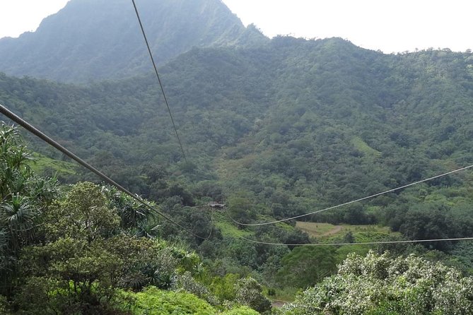 Kualoa Ranch - Zipline Tour - Practical Details: Safety, Equipment, and Group Size