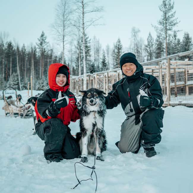 Kuoksa Husky & Reindeer Adventure - The Cozy Tepee and Traditional Salmon Soup