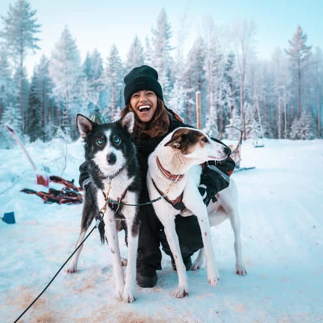 Kuoksa Husky & Reindeer Adventure - Who Will Enjoy This Arctic Adventure?