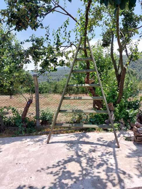 Kusadas: Countryside Tour with Lunch and Drinks - Experiencing Village Stories and Turkish Hospitality