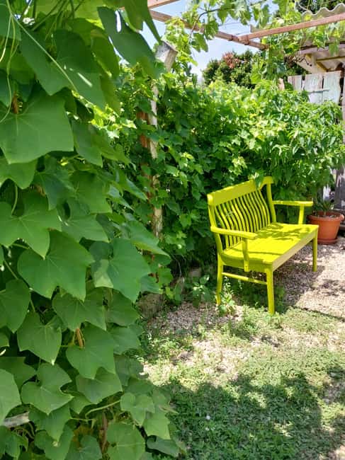 Kusadas: Countryside Tour with Lunch and Drinks - Food and Drink Highlights of the Day