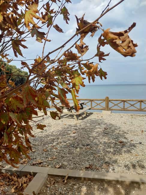 Kusadas: Countryside Tour with Lunch and Drinks - The Role of the Live English Guide