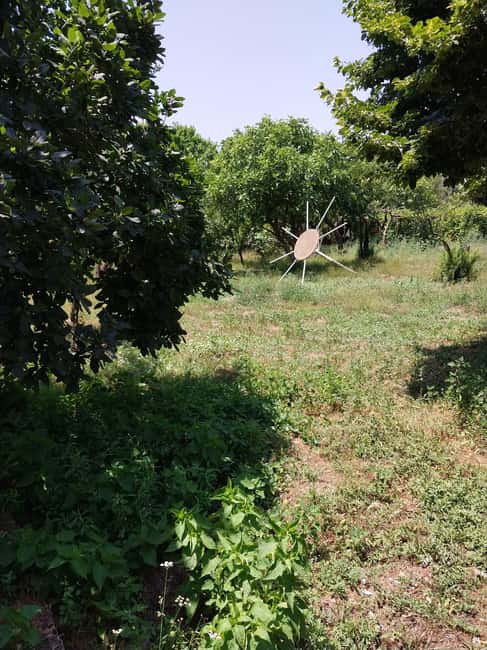 Kusadas: Countryside Tour with Lunch and Drinks - Accessibility and Practical Information