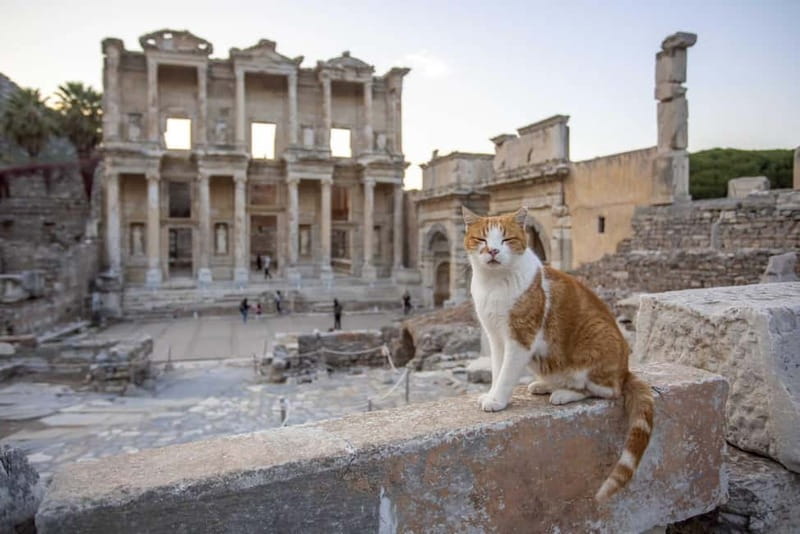 Kusadasi: All Inclusive Ephesus Tour With Lunch - Key Points