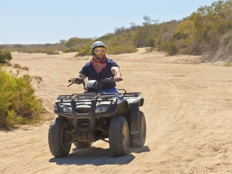 Kusadasi: Guided Quad Biking Tour - Key Points