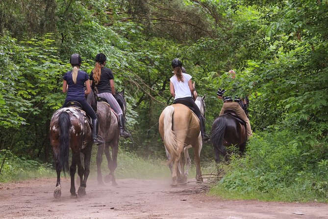 Kusadasi Horse Riding Beach and Forest options with Transfer - Discover Kusadasi Horseback Riding with Scenic Forest and Beach Views