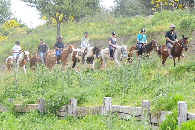 Kusadasi Horse Riding Beach and Forest options with Transfer - Scenic Horseback Riding in Pine Forests and Along the Coast