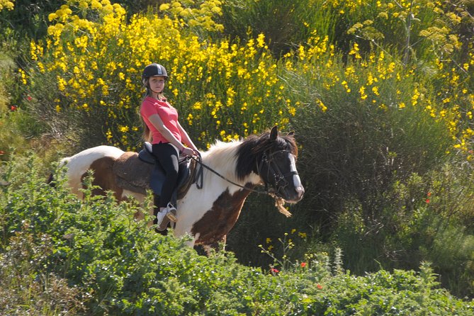 Kusadasi Horse Riding Beach and Forest options with Transfer - Convenient Hotel Transfers and Flexible Timing