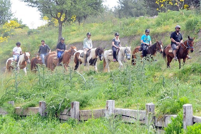 Kusadasi Horse Riding On Beach And Through The River - Final Thoughts: Ideal for Beginners and Nature Lovers