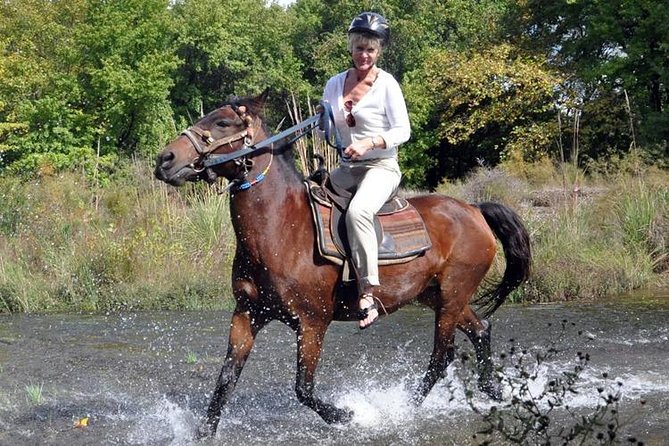Kusadasi Horseback Riding - From Kusadasi Hotels to a Scenic Horse Safari