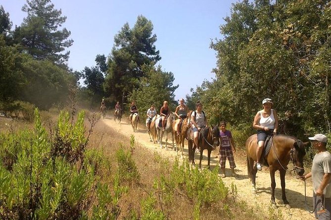 Kusadasi Horseback Riding - Beach Ride and Sea Swim Opportunities