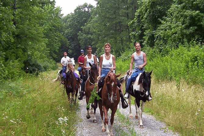Kusadasi Horseback Riding - Physical Fitness and Accessibility