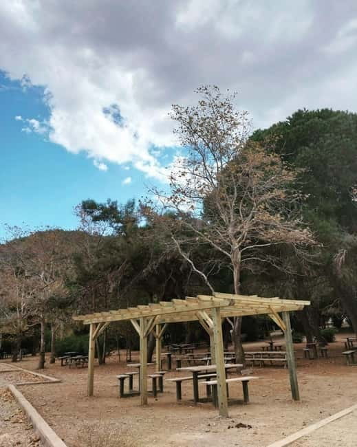 Kusadasi National Park Shinrin Yoku Tour - Discover the Beauty of Dilek Peninsula on the Shinrin Yoku Tour