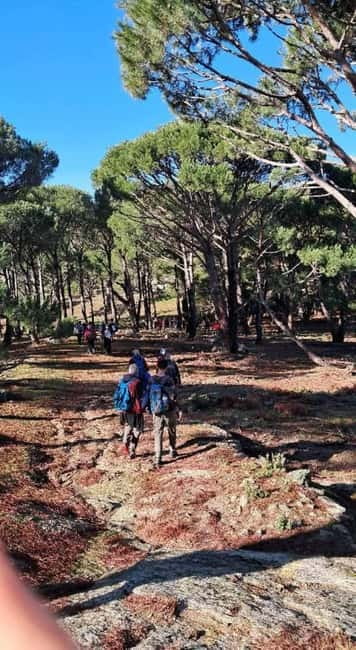 Kusadasi National Park Shinrin Yoku Tour - Safety and Accessibility Considerations