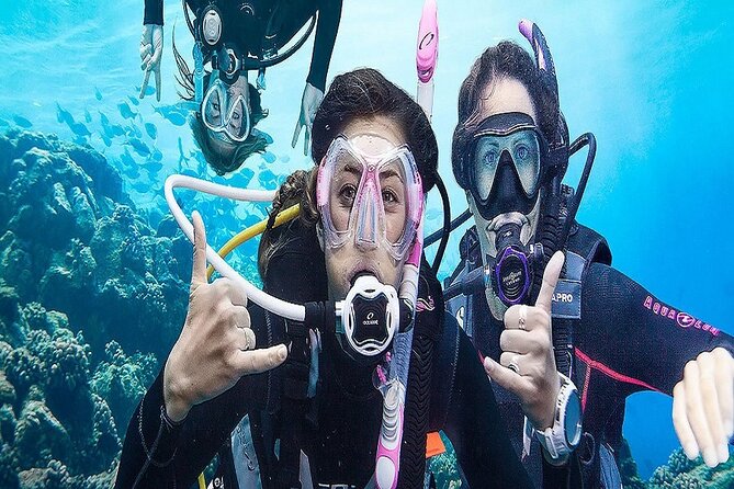 Kusadasi Scuba Diving - What Visitors Say About Kusadasi Scuba Diving