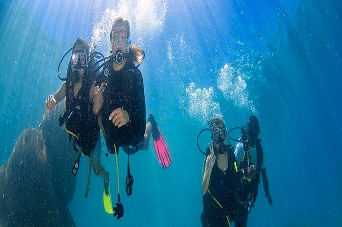 Kusadasi Scuba Diving - Who Should Consider This Tour?