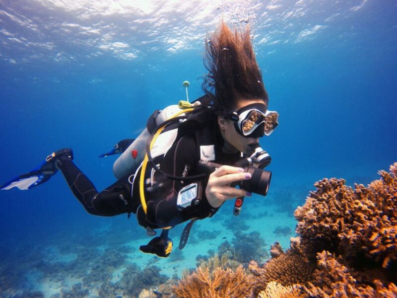 Kusadasi: Scuba Diving for Beginner or Experienced w/ Lunch - Value for Money: Affordable Ocean Adventure with All Essentials