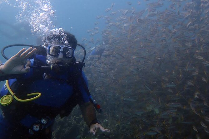 Kusadasi Scuba Diving Tour By Local Experts - Key Points