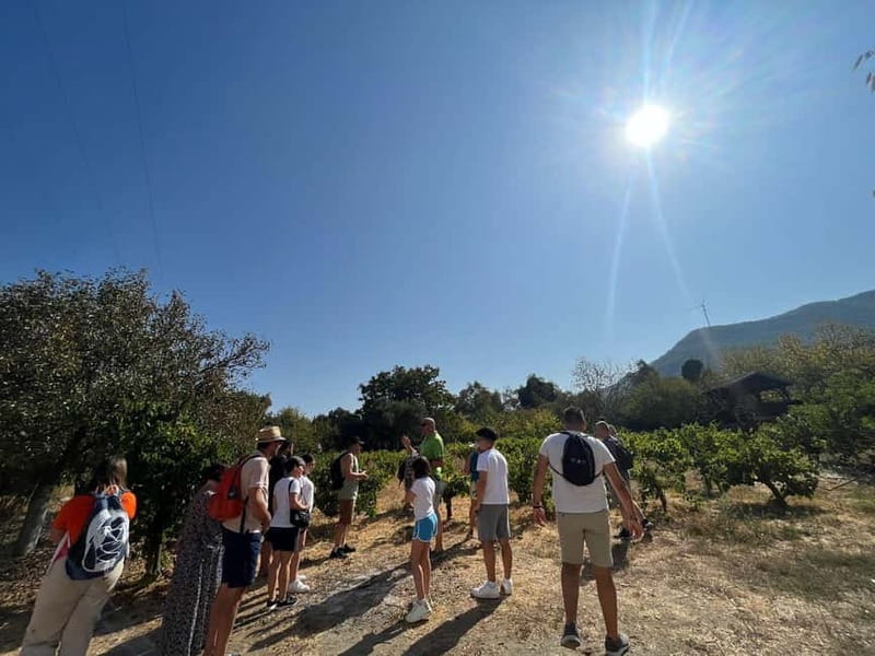 Kusadasi Village Tour & Traditional Food Tasting - Key Points