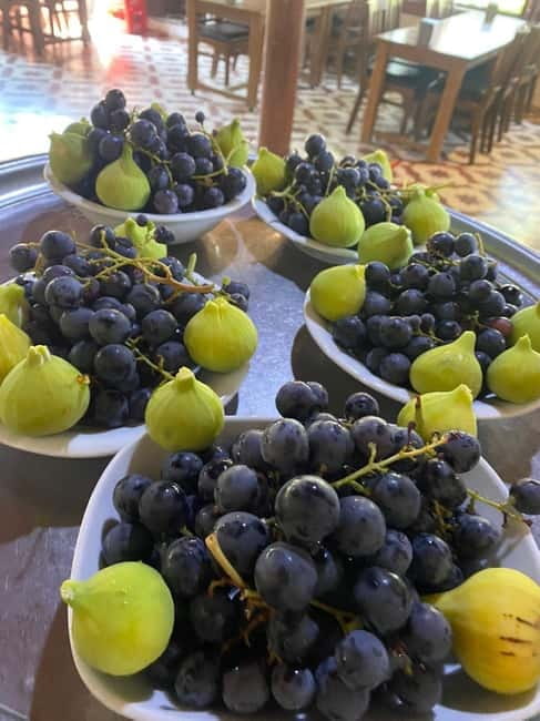 Kusadasi Village Tour & Traditional Food Tasting - The Villages’ Organic Farming and Cottage Industries