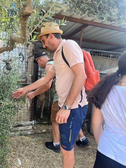 Kusadasi Village Tour & Traditional Food Tasting - Why This Tour Is a Great Choice for Authentic Experiences