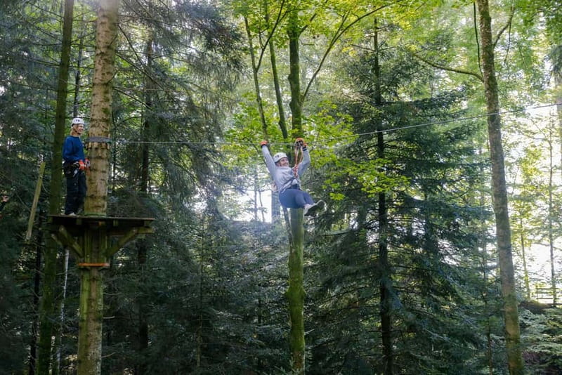 Küssnacht: Ropes Park Rigi Climbing Adventure with Entry Ticket - The Starting Point at Küssnacht: Alpenhof and Parking Facilities