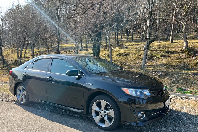 Kutaisi Airport Private Transfer - Ease of Booking and Customer Support