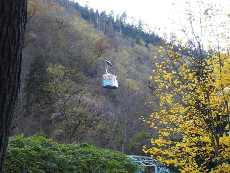 Kutaisi: Bakuriani Ski Resort & Borjomi Park Day Trip - Key Points