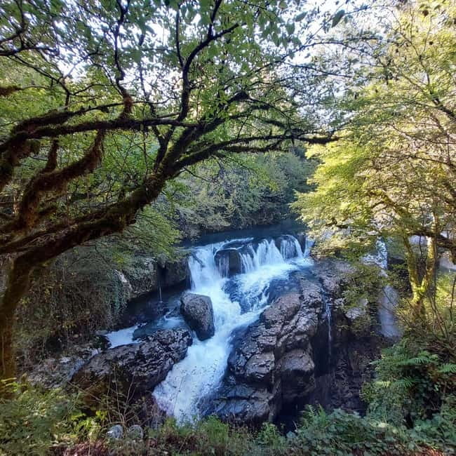 Kutaisi: Okatse-Martvili Canyons,Prometheus Cave, Waterfalls - Martvili Canyon: Boat Ride and Picturesque Scenery