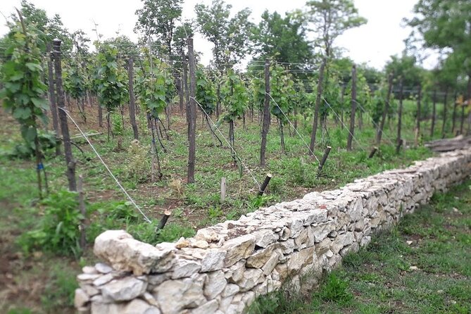 Kutaisi, Prometheus Cave and Wine tour - Visiting Motsameta Monastery and Local Cuisine