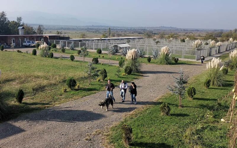 Kutaisi: Terjola Day Tour with Optional Lunch & Wine Tasting - Lunch and Wine Tasting at a Family Winery