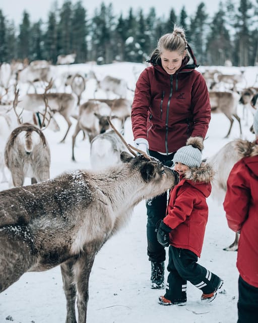 Kuusamo: Reindeer Farm Visit - Frequently Asked Questions
