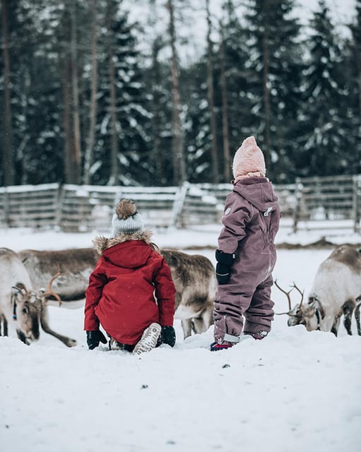 Kuusamo: Reindeer Sleigh Ride and Farm Visit - Experiencing the Reindeer Close-Up in the Old Corral